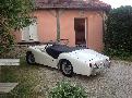 Photo 2013 - Triumph TR3A_013.jpg
